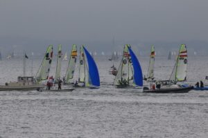 珀斯野猫主,场狂潮,猎场传奇即,皇冠体育app下载,皇冠体育官网,澳门皇冠体育,bet皇冠体育在线